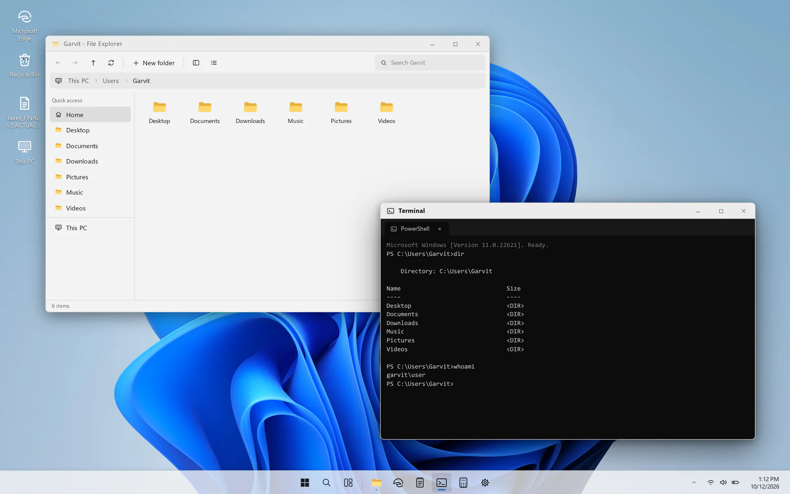 Screenshot of Windows 11: Web Edition